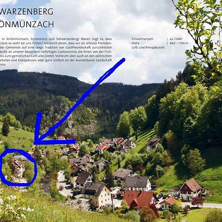 Adieu Alltag: Pension Oesterle Im Schwarzwald Schonmunzach Esterno foto