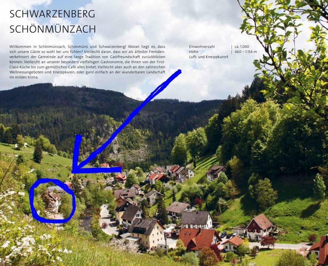 Adieu Alltag: Pension Oesterle Im Schwarzwald Schonmunzach Esterno foto
