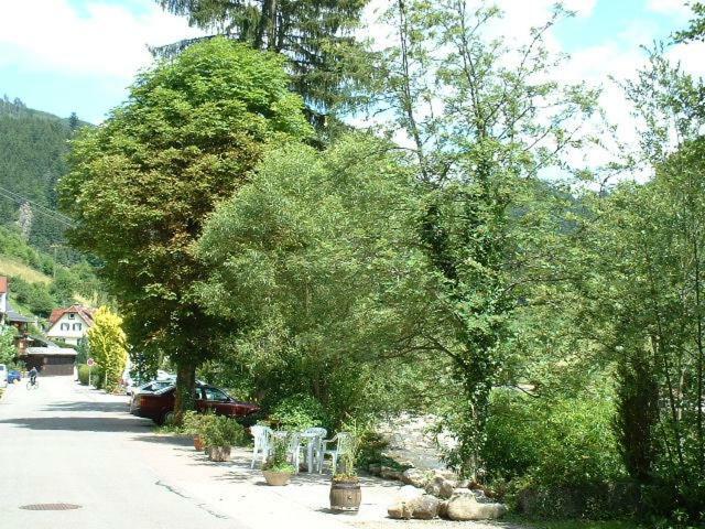Adieu Alltag: Pension Oesterle Im Schwarzwald Schonmunzach Esterno foto