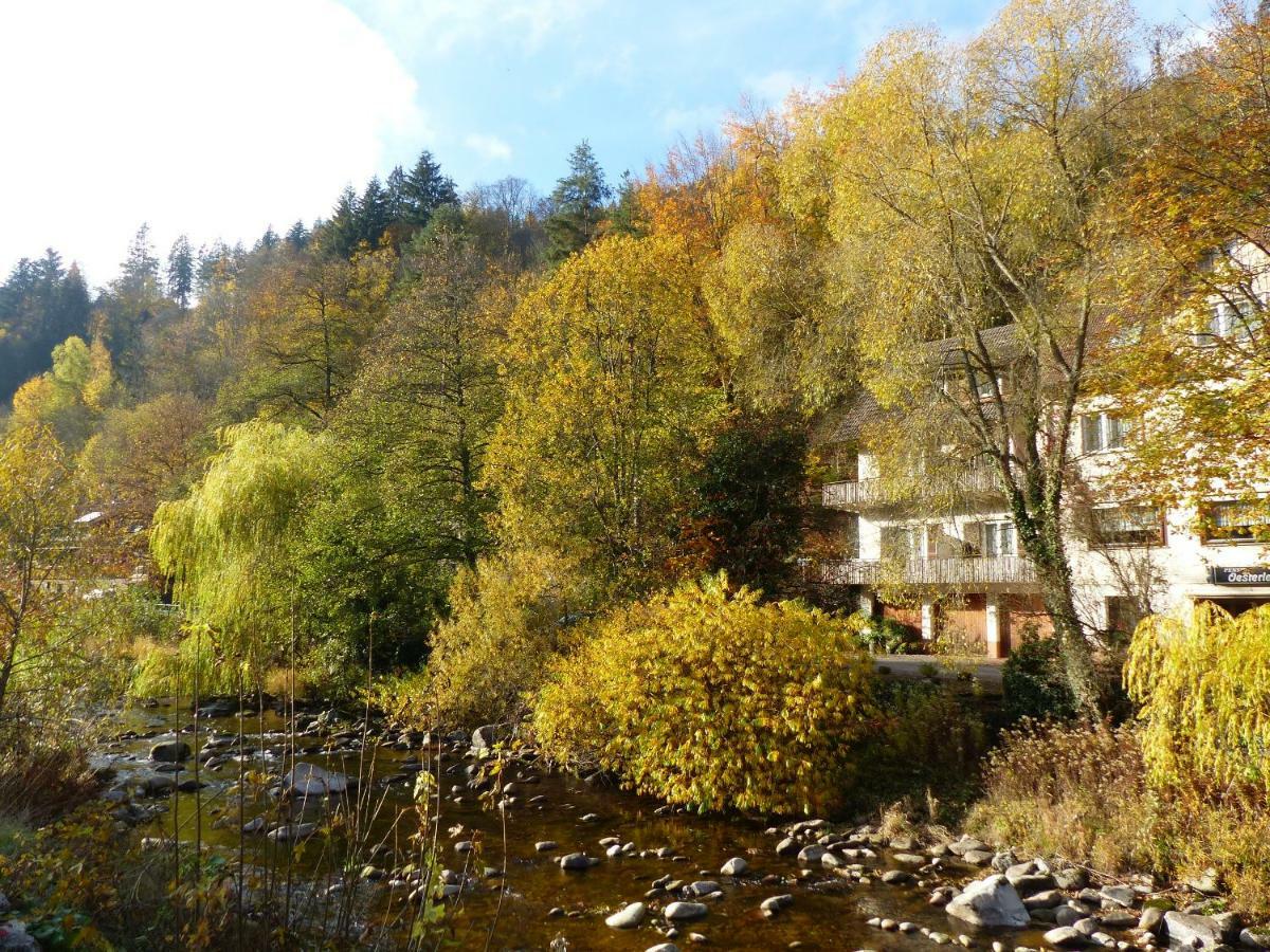 Adieu Alltag: Pension Oesterle Im Schwarzwald Schonmunzach Esterno foto