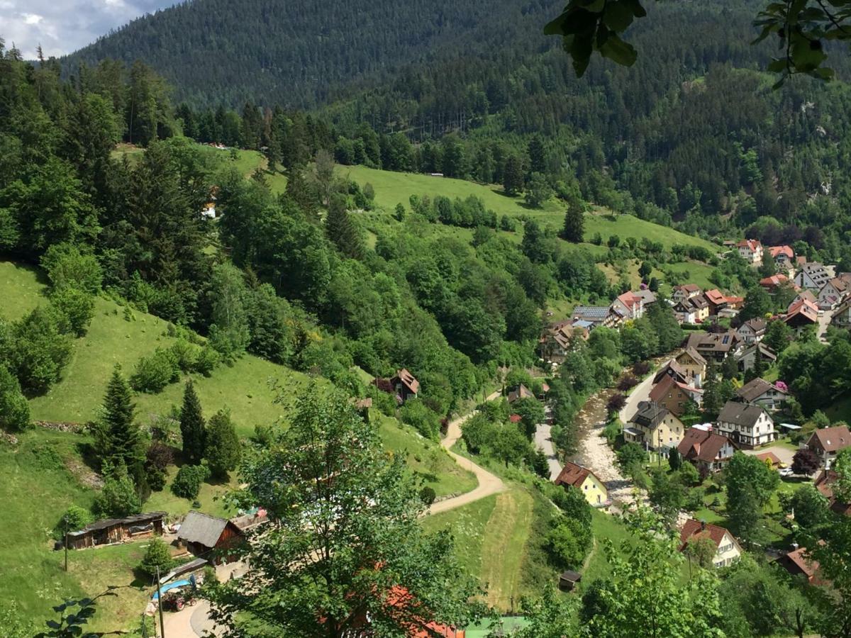 Adieu Alltag: Pension Oesterle Im Schwarzwald Schonmunzach Esterno foto