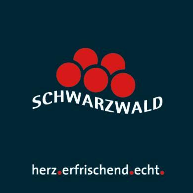 Adieu Alltag: Pension Oesterle Im Schwarzwald Schonmunzach Esterno foto